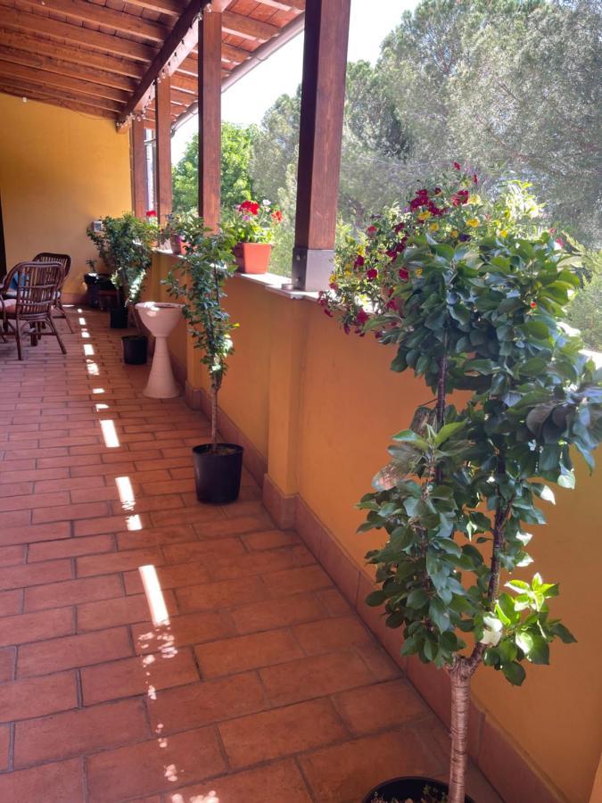La Terrazza Dei Ciliegi Otel Santa Maria Degli Angeli  Dış mekan fotoğraf