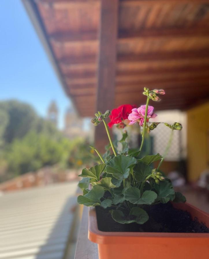 La Terrazza Dei Ciliegi Otel Santa Maria Degli Angeli  Dış mekan fotoğraf